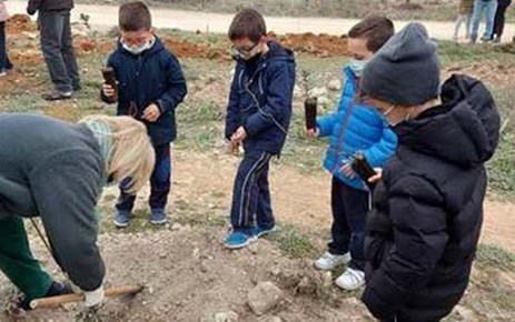 Día del árbol