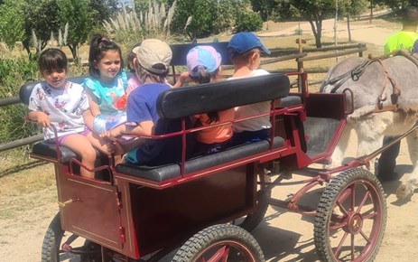 Granja Divergreen Infantil 4 y 5 años