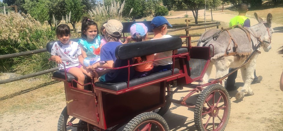 Granja Divergreen Infantil 4 y 5 años