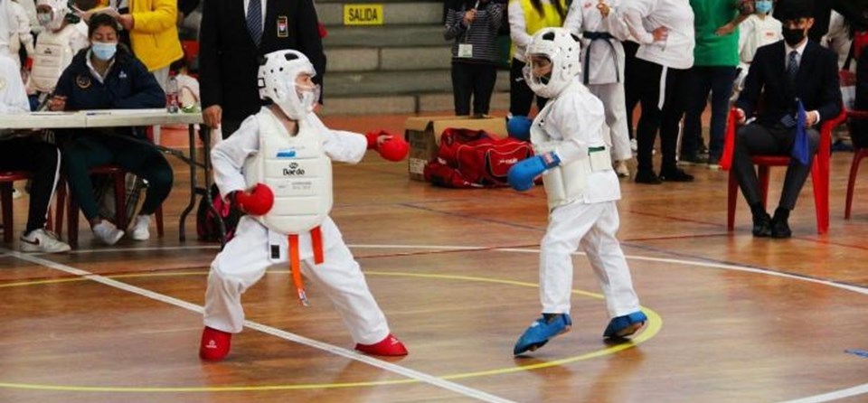 Karate en las Olimpiadas de Arganda