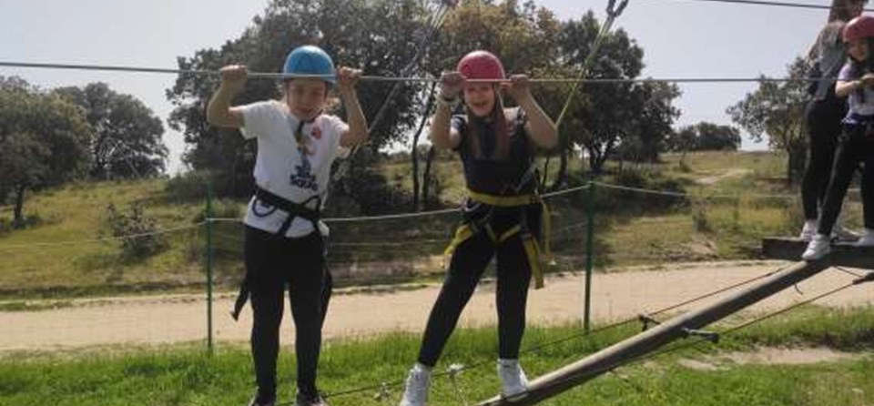 GRANJA "DIVERGREEN" 2022